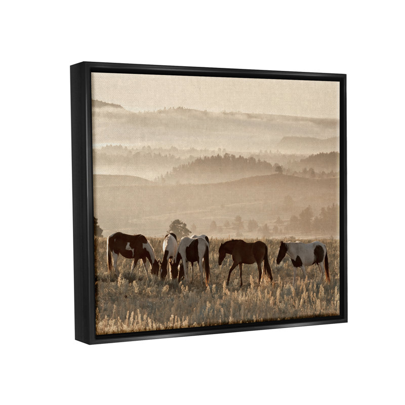«Ba-316-Floater Horses Grazing Rolling Hills», reproduction encadrée sur toile par Danita Delimont