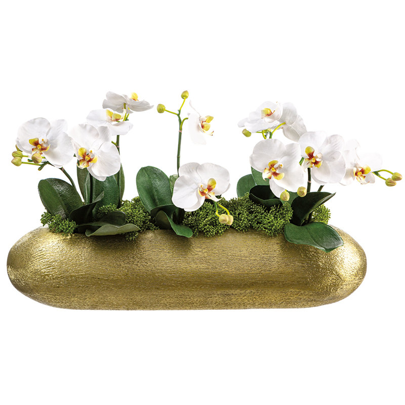 14,5 po PHALAENOPSIS DANS UN Vase en aluminium