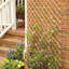 6 ft H x 3 ft W Peeled Willow Wood Garden Trellis Tomato Cage Plant Support