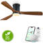 Ventilateur de plafond encastré 60 "avec lumière, 3CCT, moteur réversible, télécommande, APP et commande vocale et pales en bois massif 60"-1390329658-1390329653