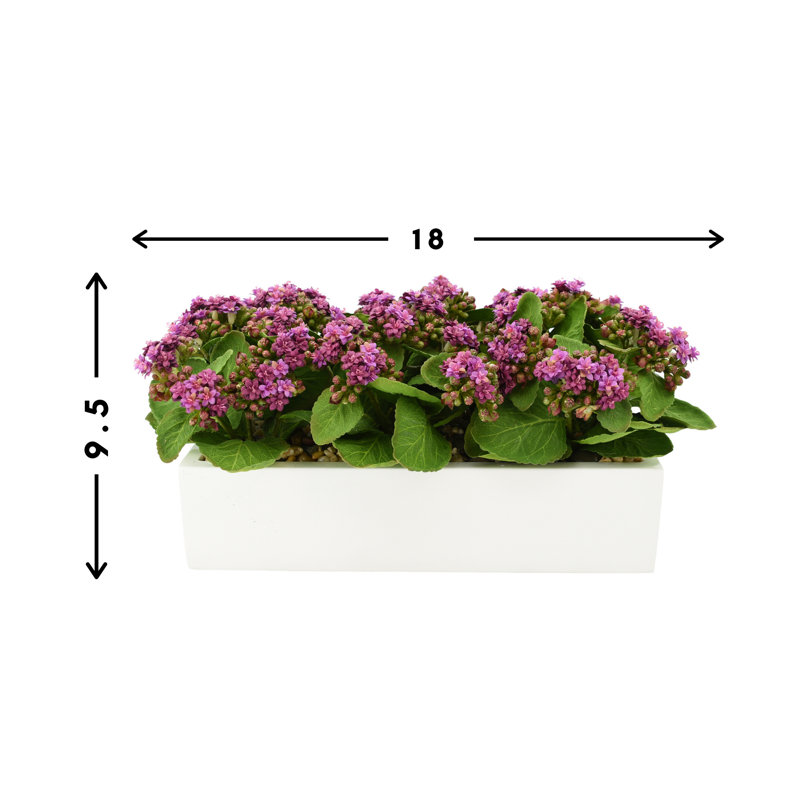 Kalanchoe Arrangement in Fiberstone Planter, Yellow, 9.5" H x 18" W x 9.5" D