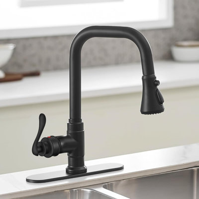Single-Handle Pull-Down Sprayer Coil Spring High-Arc Kitchen Faucet With Deckplate Sink Faucet In Matte Black