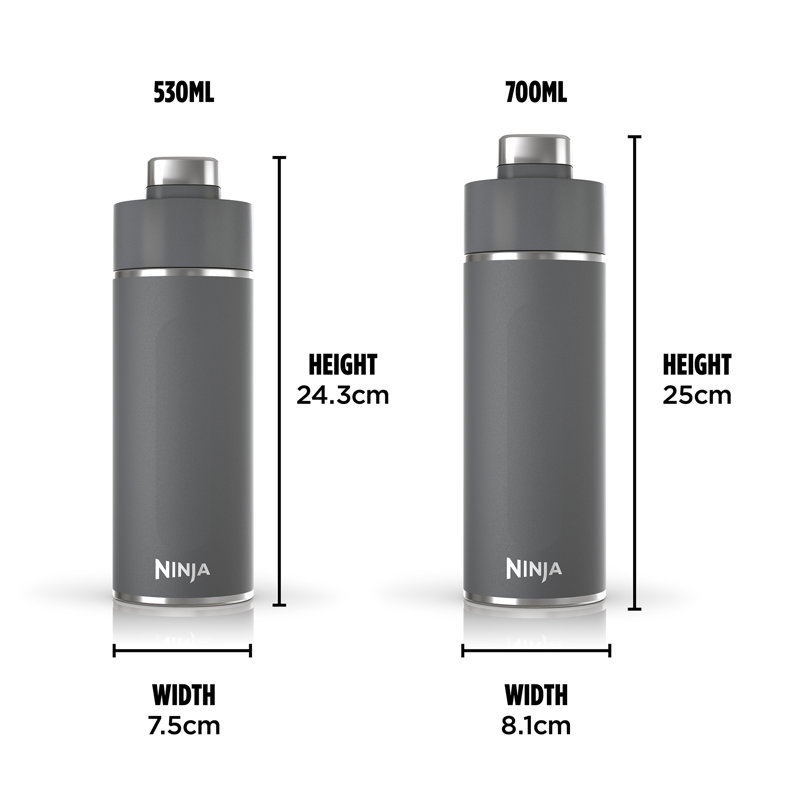 Ninja Thirsti 700 Ml Travel Bottle, Grey