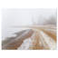 «Sandy Beach in the Winter Fog», reproduction de photo sur toile tendue-19240390