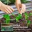 Planter Box-1566691236-1566691237-1566691239