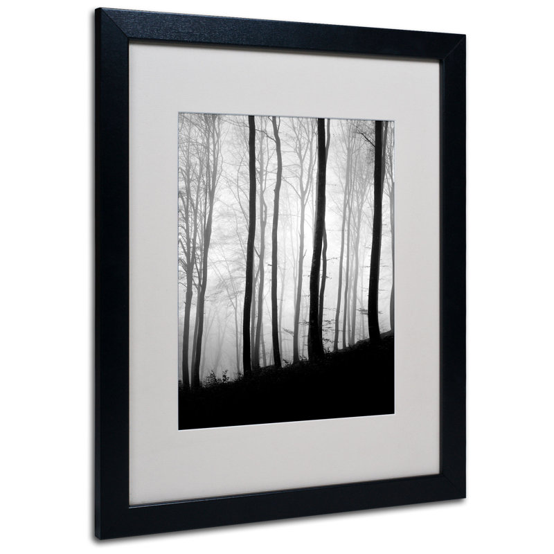 « black lines » par philippe sainte-laudy,, reproduction de photo encadrée, H 20 po x l 16 po, Noir