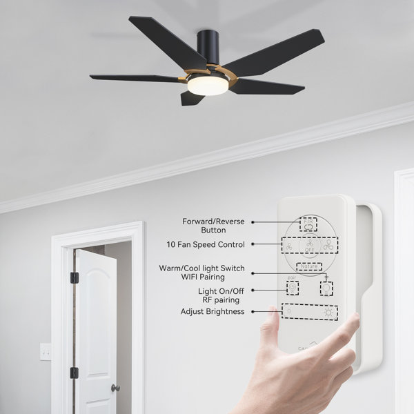 Latitude Run® 48&quot; 5 - Blade Smart Flush Mount Ceiling Fan with 