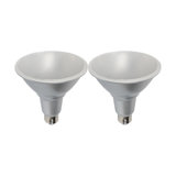 15 Watt Clear LED Bulb