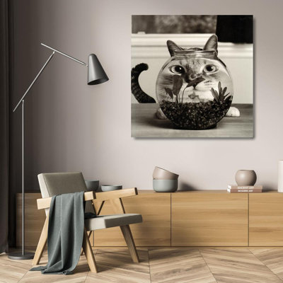 Cat Fish