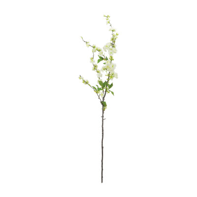 Pulvérisateur de fleurs cerises