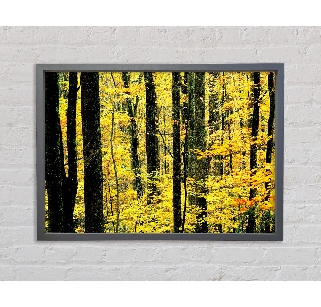 Yellow Woodland - Einzelner Bilderrahmen Kunstdrucke auf Leinwand