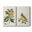 Oiseau en toile tendue avec châssis V-Premium - prêt à être accroché-108956369
