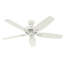 Ventilateur de plafond standard à 5 pales de 52 po avec chaîne de traction et ensemble d'éclairage inclus Newsome-56420828
