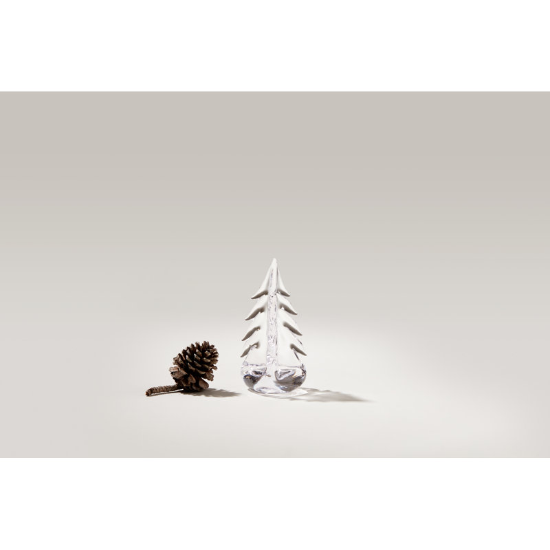 Vermont Evergreen, 6 inch