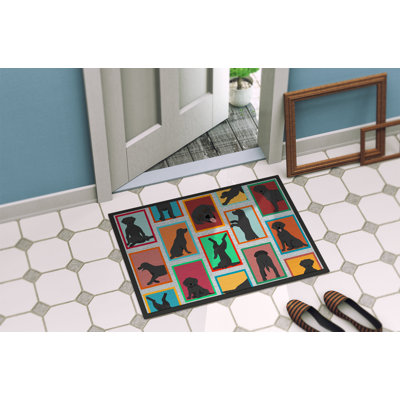 Octavian Non-Slip Doormat
