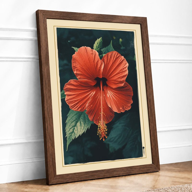 Hibiscus In Deep Teal Botanical - Print, Walnut, A3 - 42.0 x 29.7 cm