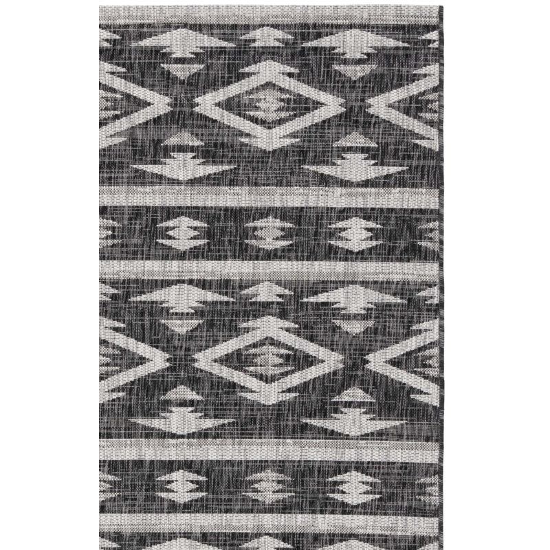Amarien Southwestern Indoor/Outdoor Area Rug, Runner 2'3" x 10'