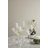 Cabernet Lines 8.5oz. Drinking Glass Set
