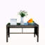 Table basse d'extérieur 1 table basse avec verre trempé transparent