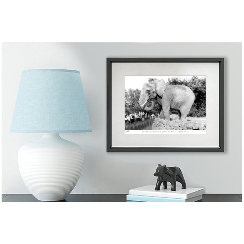 London Zoological Gardens, The Elephant C1965 by Francis Frith - Single Picture Frame Print, 28cm H x 36cm W x 2.3cm D