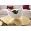 Cast Naturals Resin Abstract Contemporary Decorative Bowl in White