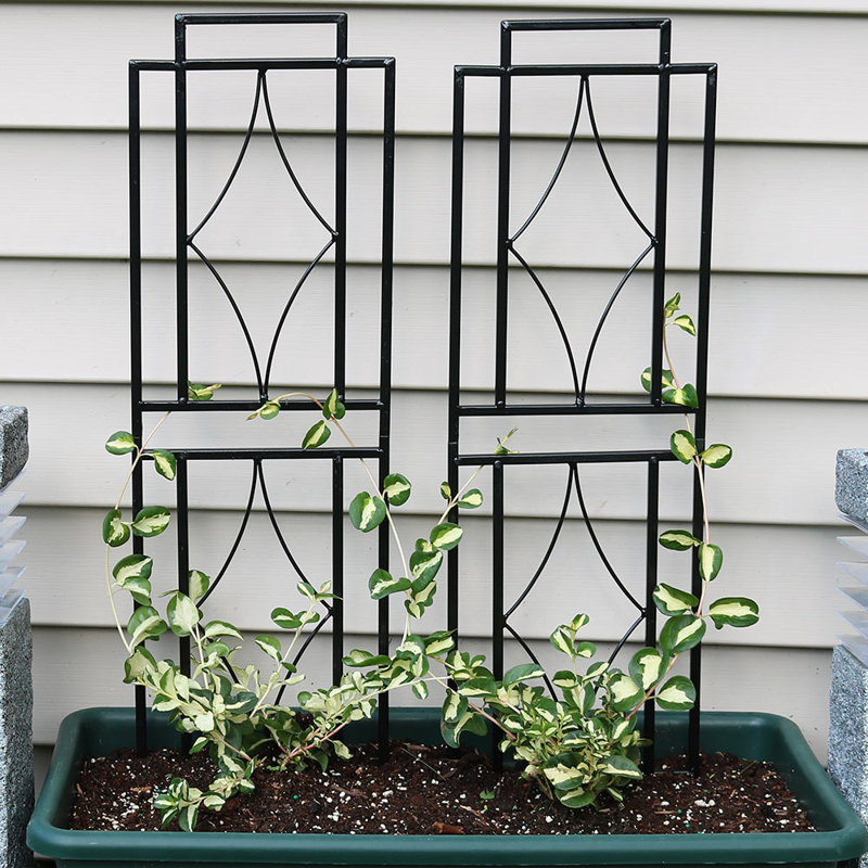 Treillis de jardin contemporain en acier noir 8 "x 30" pour plantes grimpantes