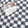 Reidsville Checkered Machine Woven Polyester Area Rug in Blue