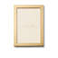 Martin Metal Picture Frame-44429969