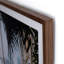 Greenhouse II Print by Annie Spratt-2010080437