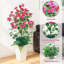 120cm Plant