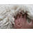 Ultra-plush Greek Flokati rugs. Thick 4" shag pile. Cugina Wool Area Rug-1107778027