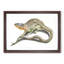 Lizard by Johan Teyler - Framed Print-55617608-55617609