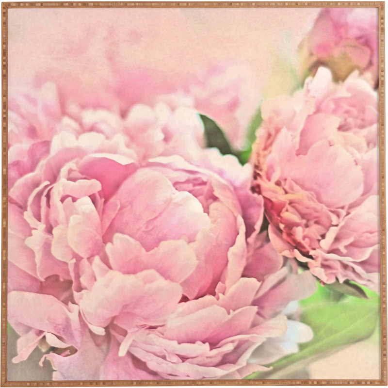 « pivoines », reproduction de photo encadrée