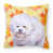 Bichon frisé 1