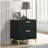 Black and Gold 2-Drawer Rectangular Nightstand-1680929029