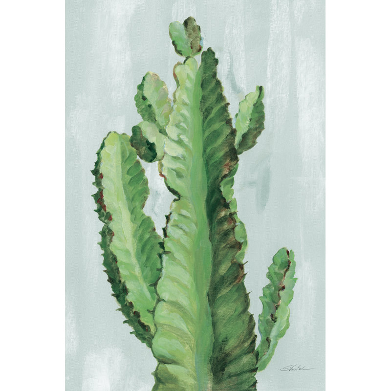 Front Yard Cactus II Slate by Silvia Vassileva - Wrapped Canvas Painting, 30cm H x 20cm W