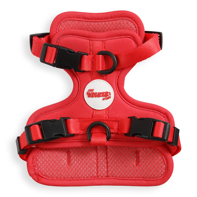 Harnais pour animal de compagnie Arlo, Rouge
