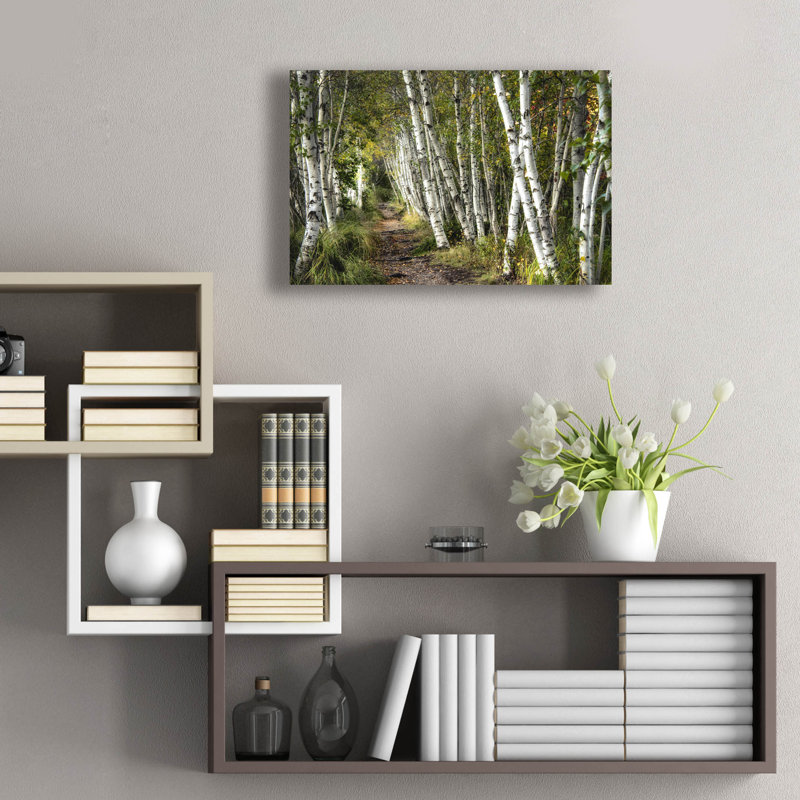  «A Walk Through The Birch Trees» par Danny Head, art mural en verre acrylique, 24 po x 16 po, H 16 po x l 24 po