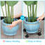 Support pour plante de jusuf
