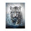 Momart léopard blanc sur toile-617050501
