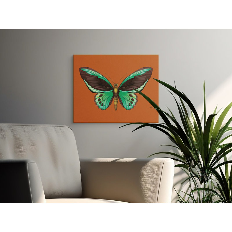 Wrapped Canvas Print Set, 12x9