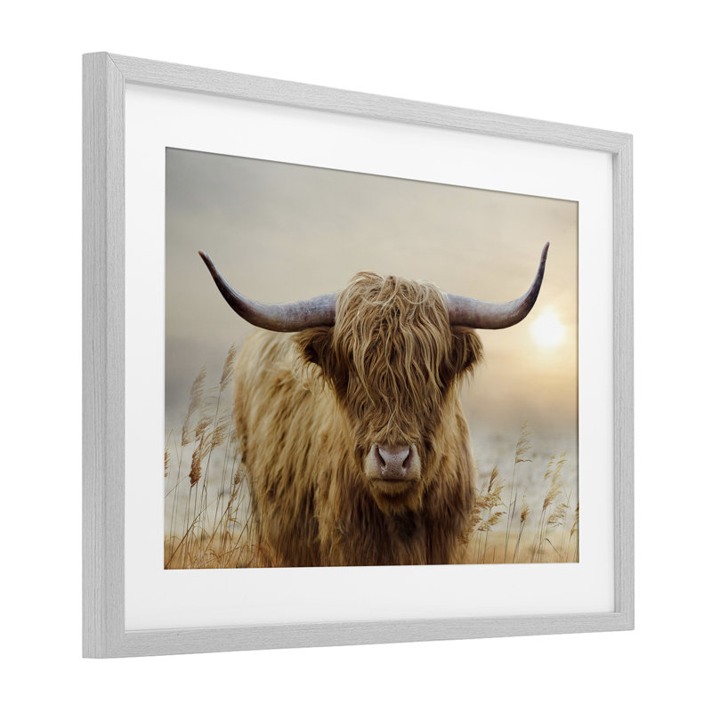 «Highland Cow & Warm Sunset», reproduction encadrée sous verre, conception de CAD Designs, H 14 po x l 20 po