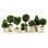 Preserved Greens Boxwood Topiary in Ceramic Pot