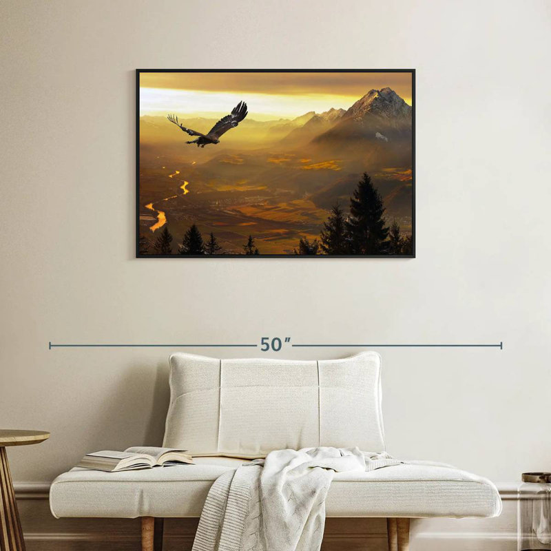 Aigle royal au coucher du soleil, Cadre flottant noir, 37 po x 25 po