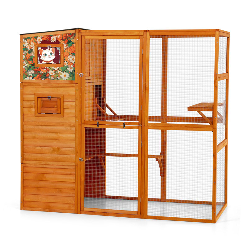 Large Outdoor Cat Enclosure
