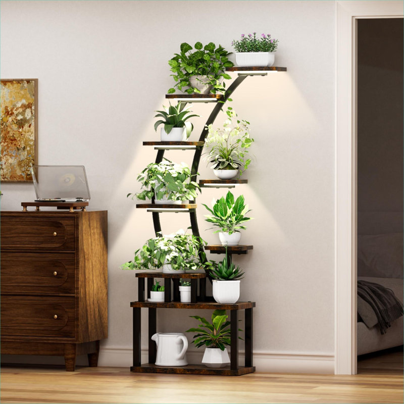 Support pour plante d'intérieur à 63 étages de 63,6 pouces de hauteur en MDF brun chaud et en métal, avec lumière pour la croissance des plantes, étagère de présentation incurvée