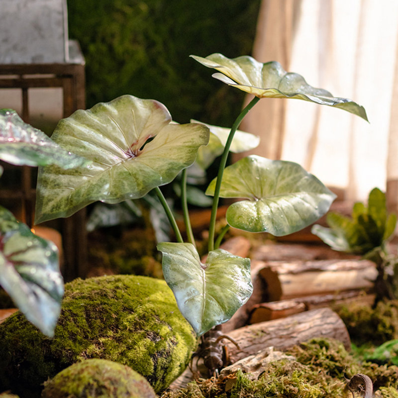 19.6'' Faux Alocasia Plant