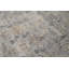 Windsom Oriental Area Rug in Beige