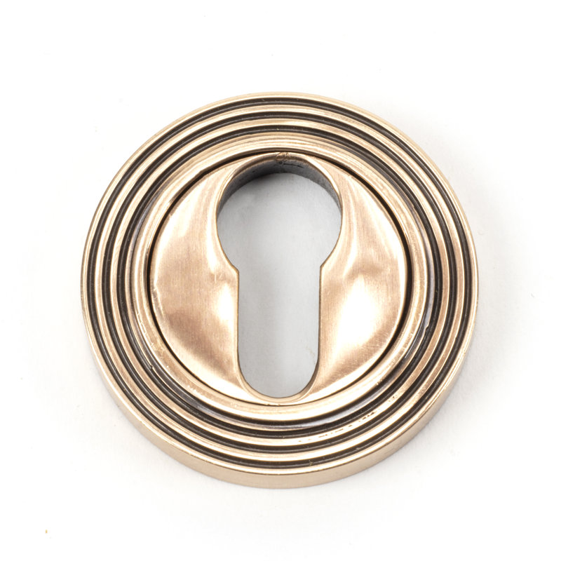 Euro Escutcheon Rosette, Polished Bronze