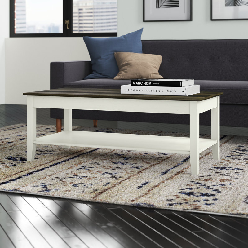 Lorraine Coffee Table with Storage,  Old Wood White